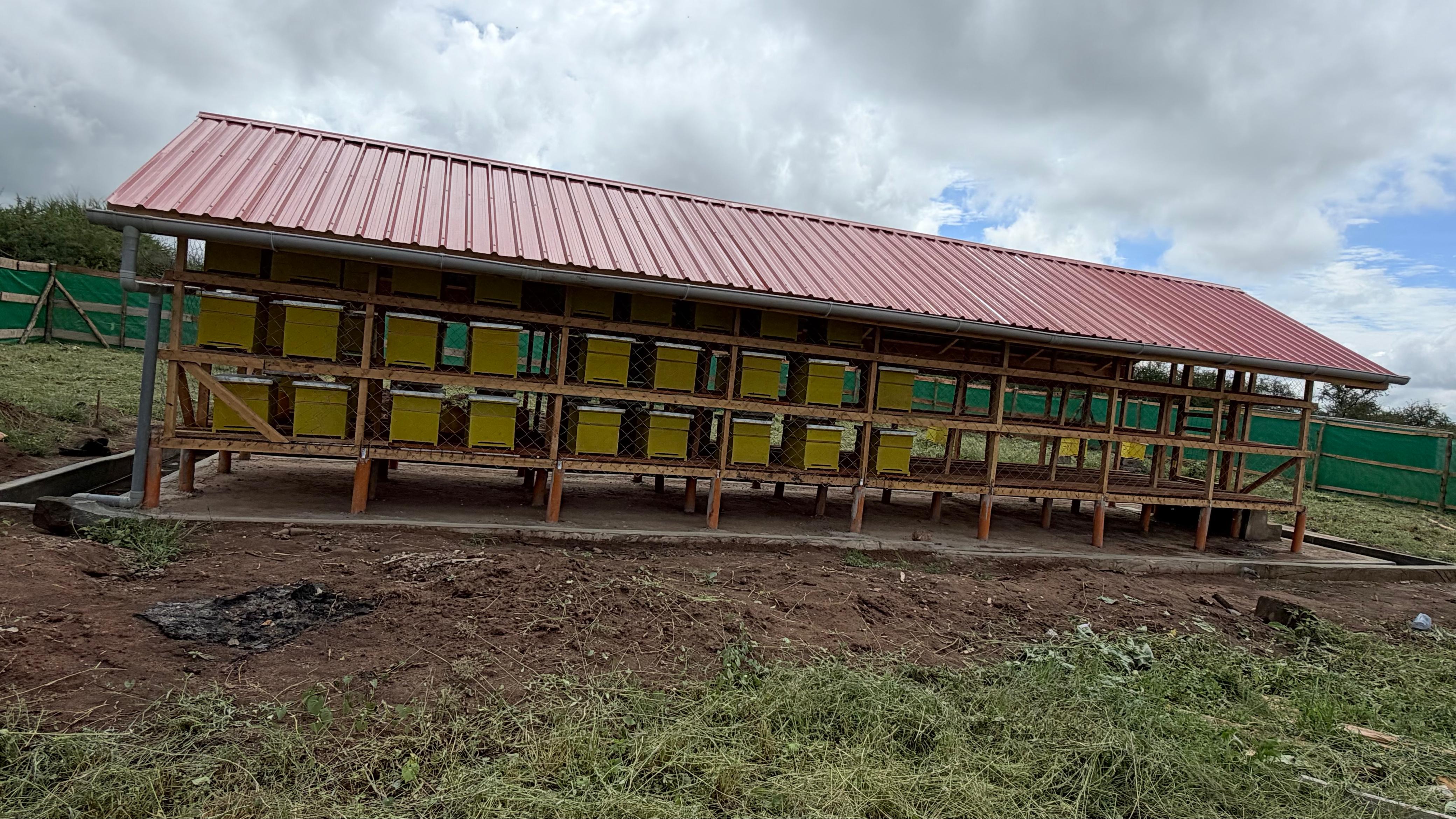 Wasili Farm
